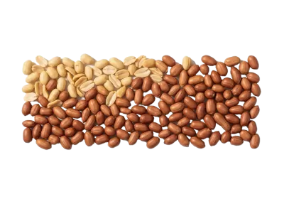 Imagen PNG para descargar